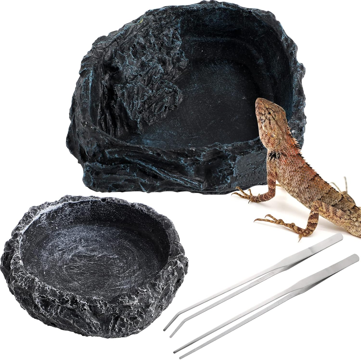 Reptile Bowl - 2Pcs Reptile Water Dish with Feeding Tongs Feeding Bowls Water Bowl Food Dish for Lizard Tortoise