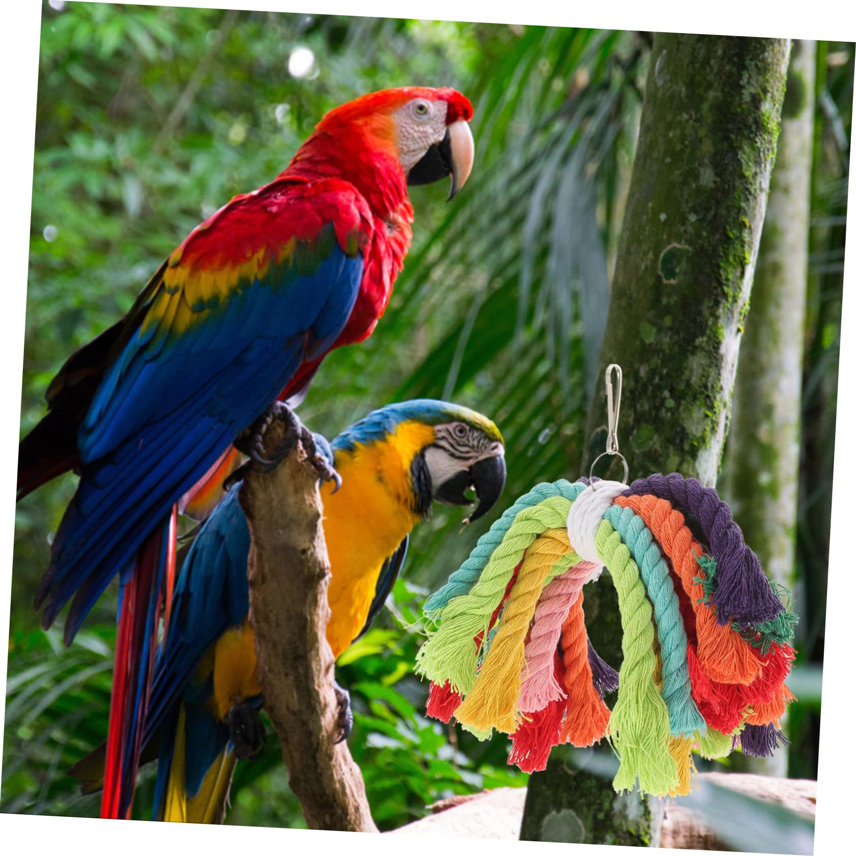 minkissy 5stücke Parakeet Baumwollseil Spielzeug Für Vögel Sicheres Kauspielzeug Für Papageien Wellensittiche Nymphensittiche Multifunktionale Vogelspielzeuge Mit Aufhängung Für