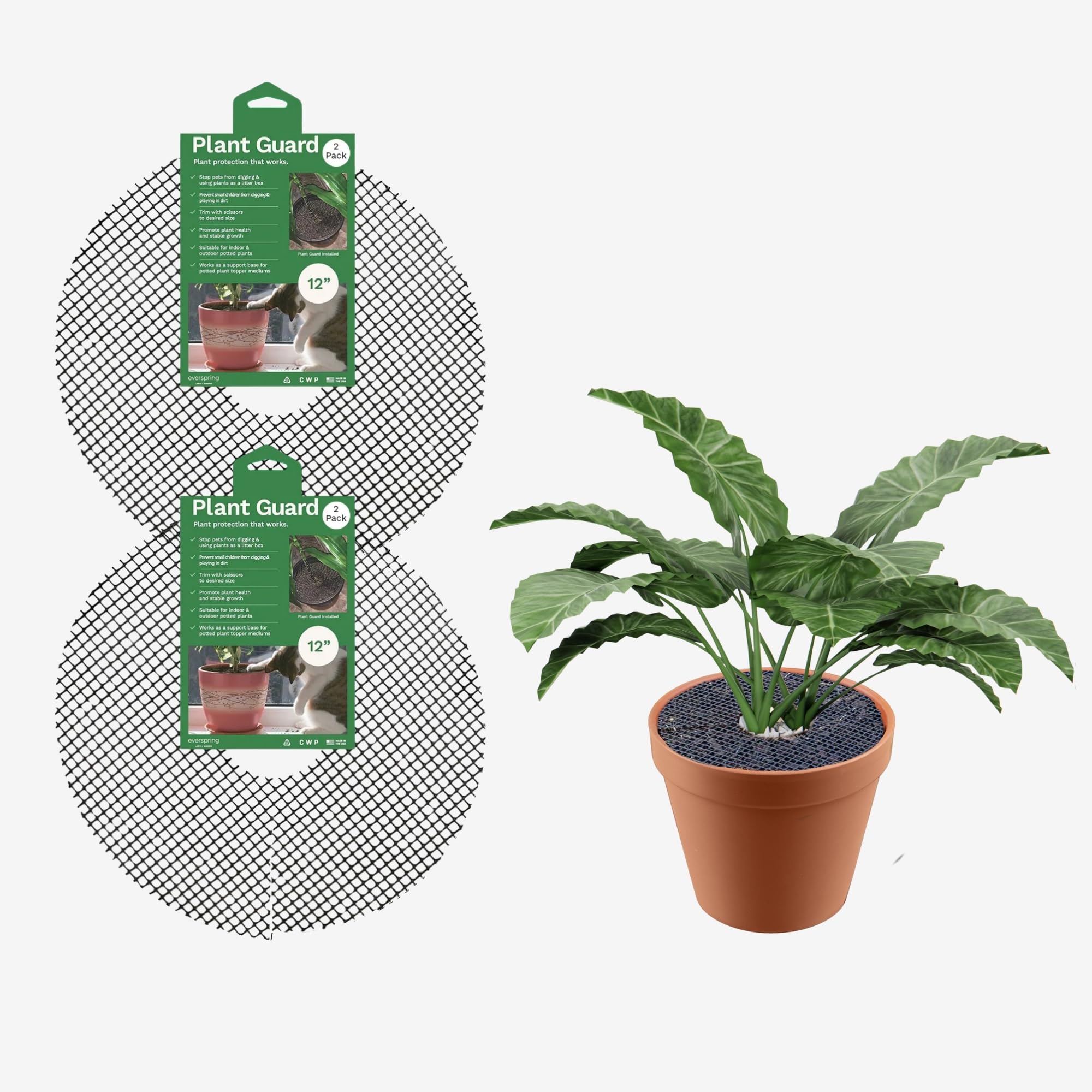 Amazon.com: Curtis Wagner Plastics Plant Guard, 12" Diameter, 2-Pack | Plant  Protector from Cats & Animals | Plant Soil Cover | Trim-to-Fit Plant Pot  Cover for Healthy Root Growth | Indoor or