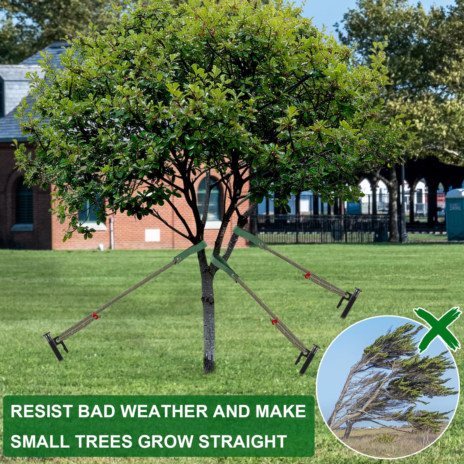 Lot de 12 piquets et supports pour arbres de 40 cm - Kit de redressement robuste pour arbre - Sangles de support pour arbre incliné