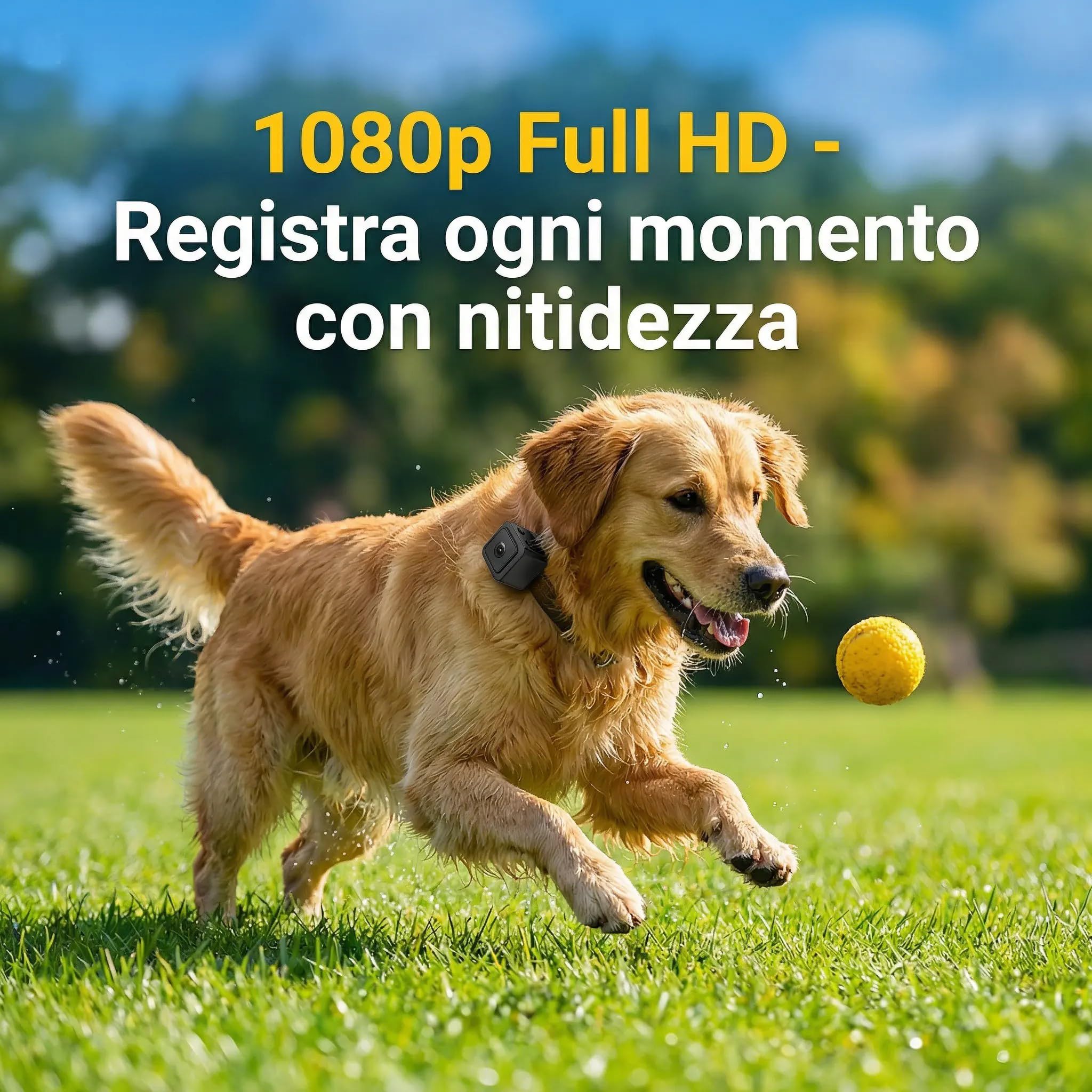 Telecamera per Cani e Gatti WiFi con Visione in Tempo Reale – Videocamera Portatile Full HD 1080P con Grandangolo 120°, Batteria 700mAh, Supporto Micro SD, Connessione Hotspot AP – Monitora il Tuo Pet