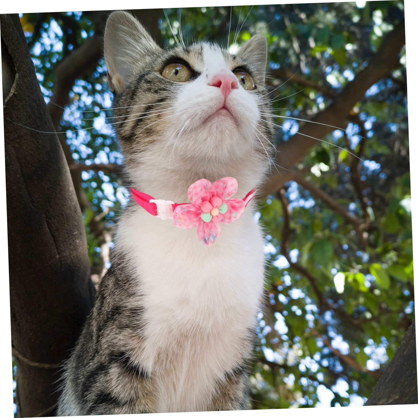 Mipcase 30pièces Collier pour Petits Animaux avec Design Floral Ajustable Et Lavable pour Chats Et Petits Chiens Accessoire Festif