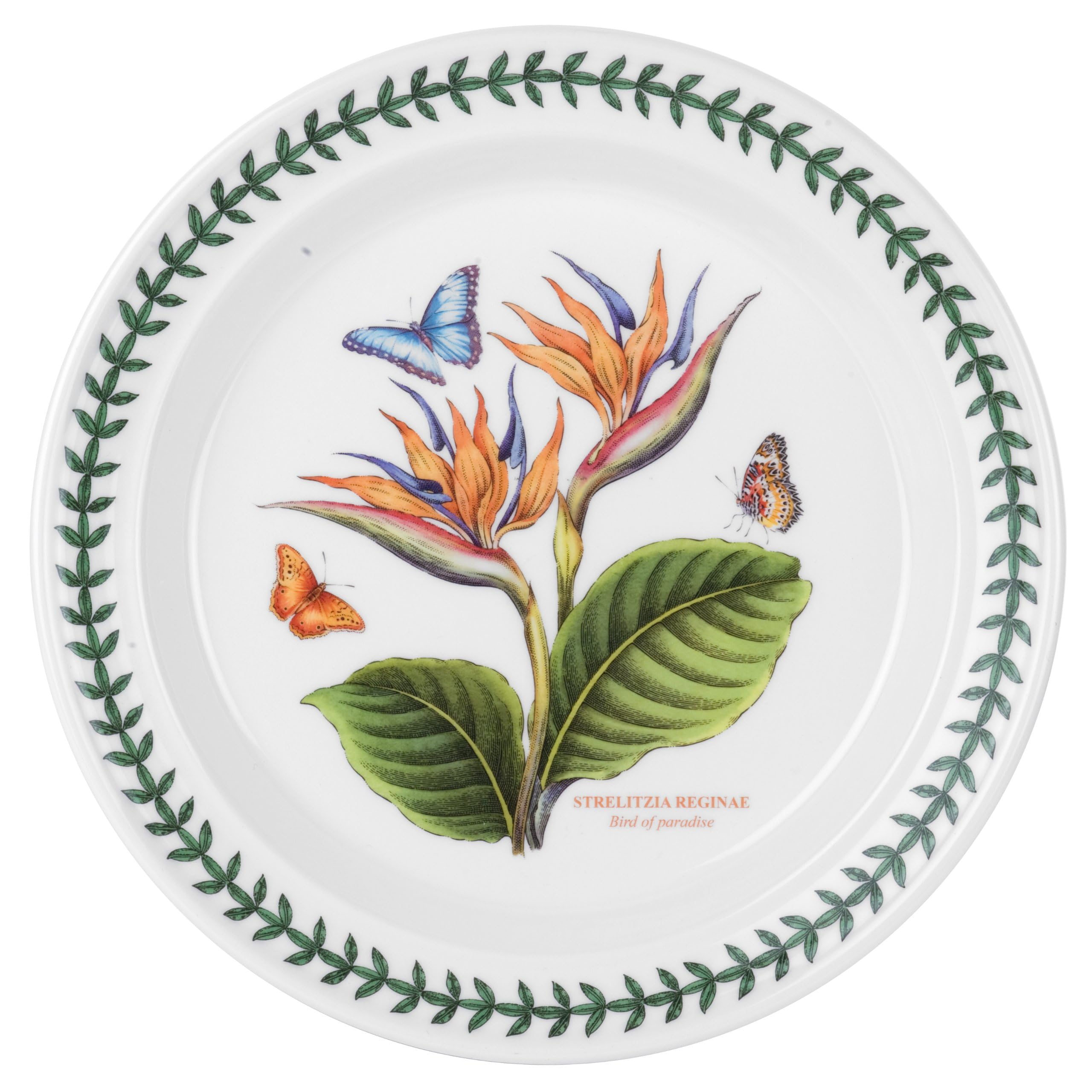 Portmeirion Exotic Botanic Garden 10.5" Dinner Plate | Bird of Paradise Motif | Fine Earthenware | Dishwasher, Microwave, and Oven Safe | Made in England