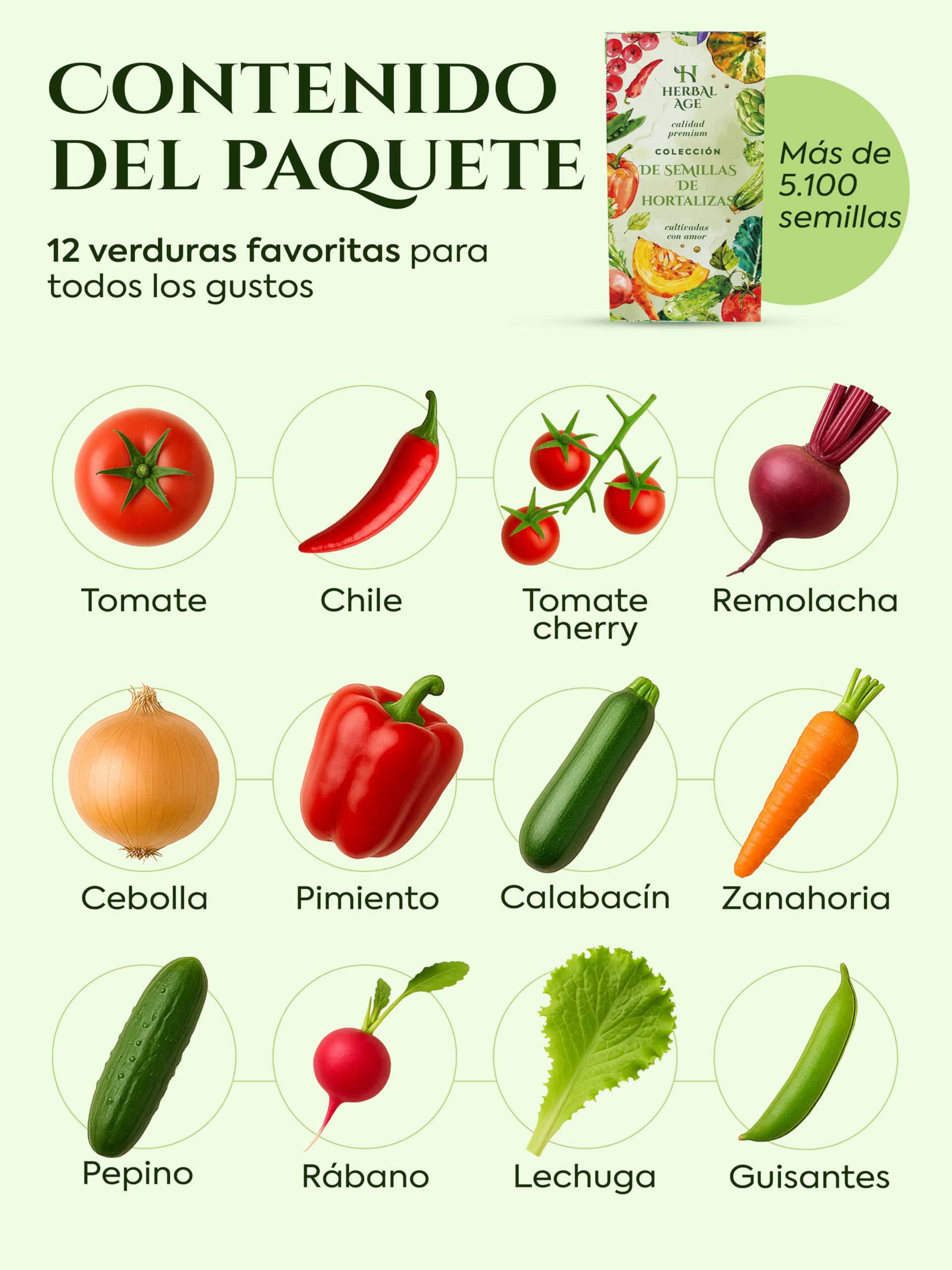 Kit Semillas Huerto Urbano De 12 Vegetales – Pack de 2, 10.200 Ecológicas Semillas De Tomate, Pepino, Lechuga, Tomates Cherry – Kit Huerto En Casa Pack, Regalos Originales Para Hombre y Mujer