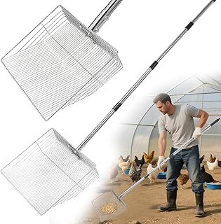 Chicken Coop For 12 Chickens Picks collage image 4