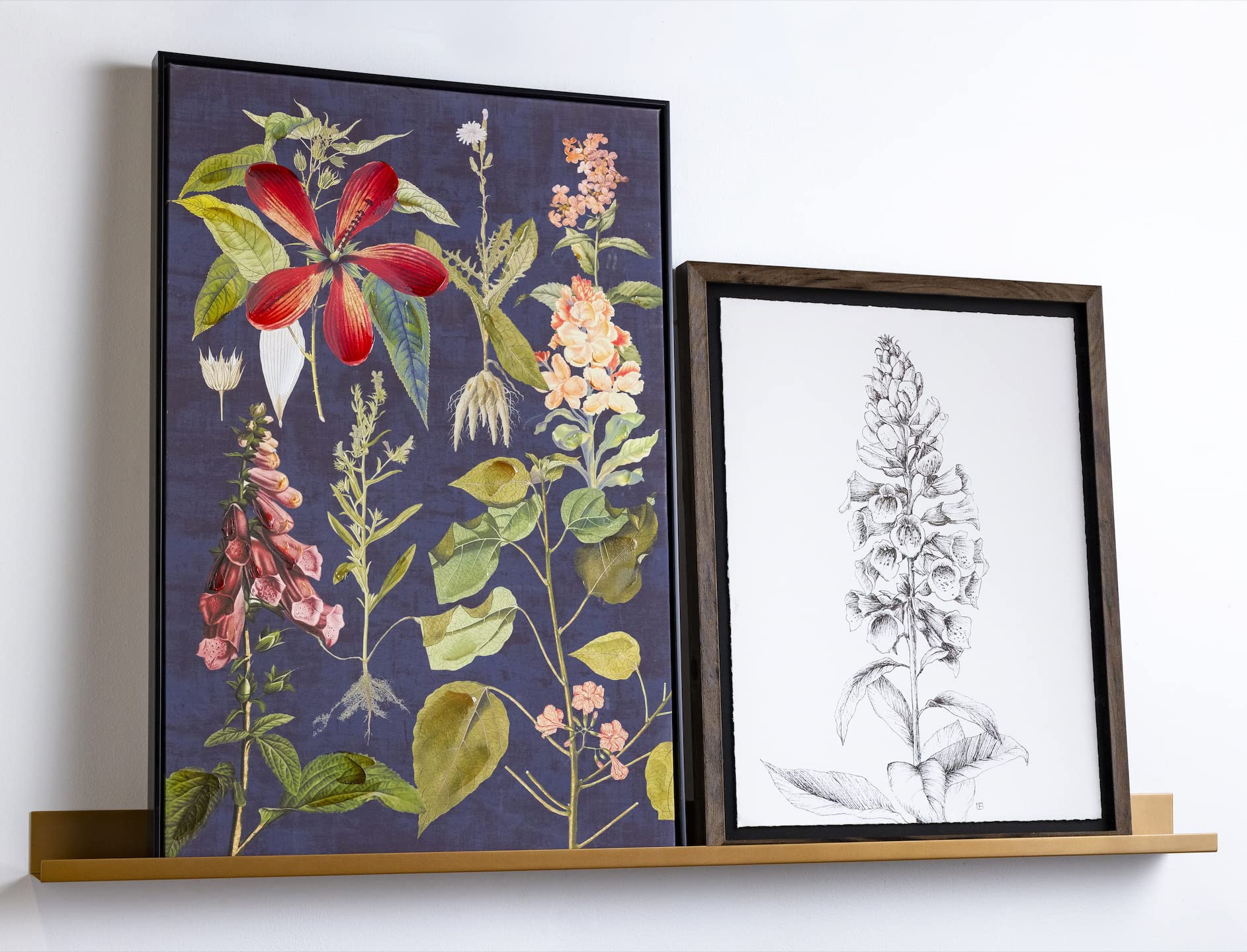 Photo 1 of Infinite Design Floating Metal Wall Shelf – Minimalist Premium Floating Shelves Made in USA | Easily Mounted, Perfect Floating Shelf 