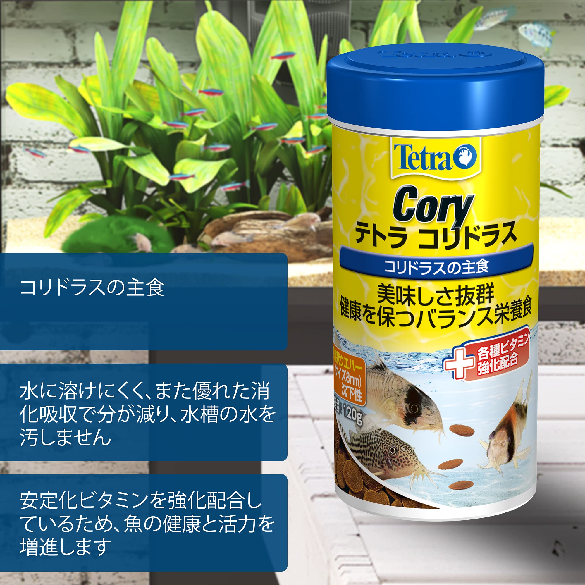 テトラ　コリドラス 120g コリドラスや底棲魚の主食 バランス栄養食 熱帯魚 テトラ (Tetra) コリドラス 120g 底棲魚の主食 バランス栄養食