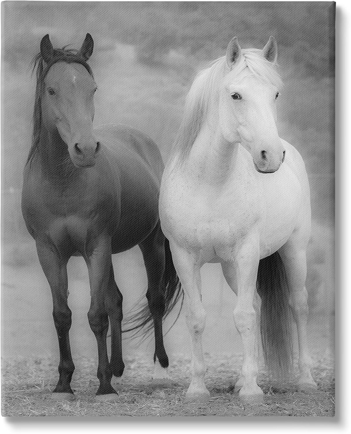 Stupell Industries White & Black Horses Canvas Wall Art by JG Studios