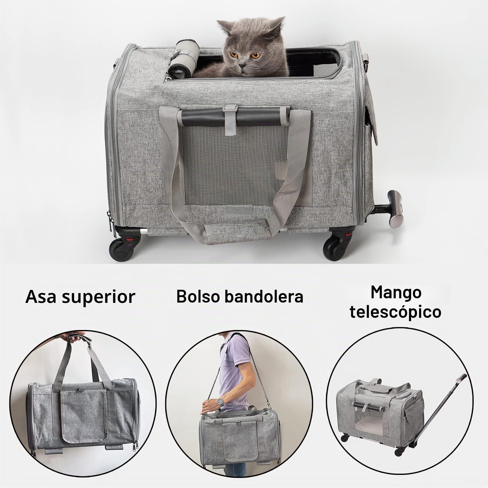 FLYAMAPIRIT Transportin Bolsa portátil para mascotas para perros pequeños y medianos y gatos, con asa telescópica y ruedas desmontables