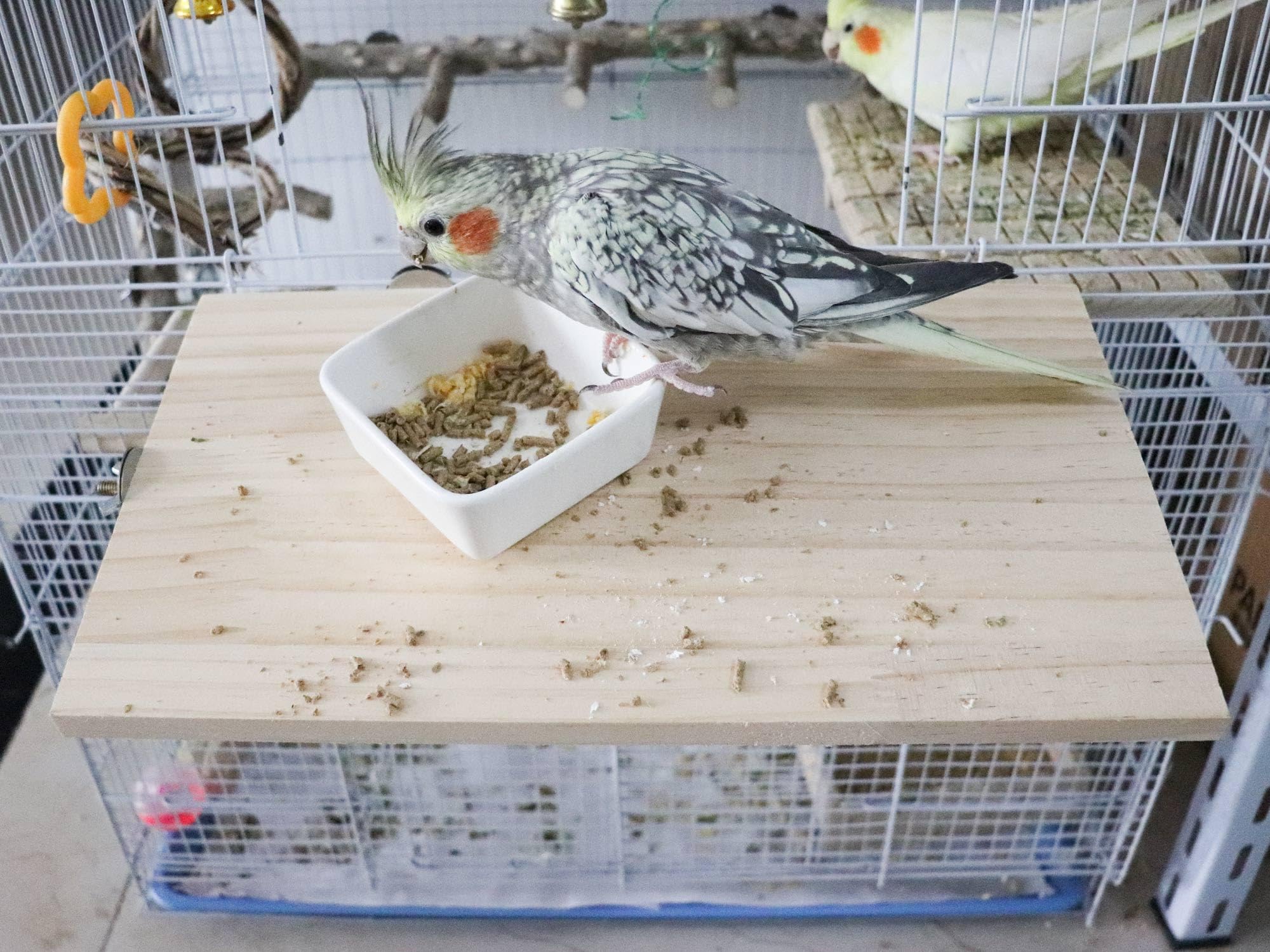 Plateforme Large pour Oiseaux de 34,5 x 20 cm, Perchoir en Bois Naturel pour Animaux de Compagnie, Accessoire de Cage pour Perruches, Cockatiels, Rats, Hamsters, Cochons d'Inde