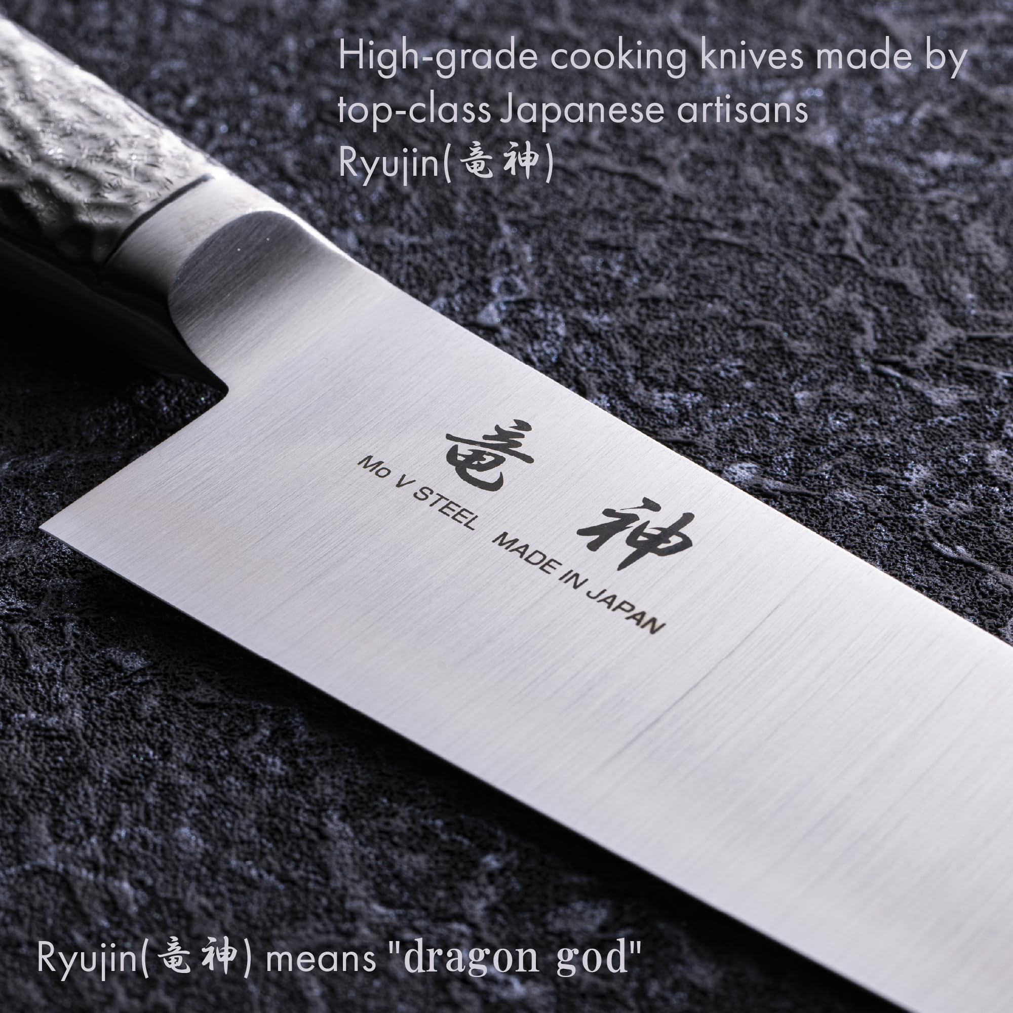 Amazon.com: 竜神 (RYUJIN) Professional Japanese chef knife Gyutou