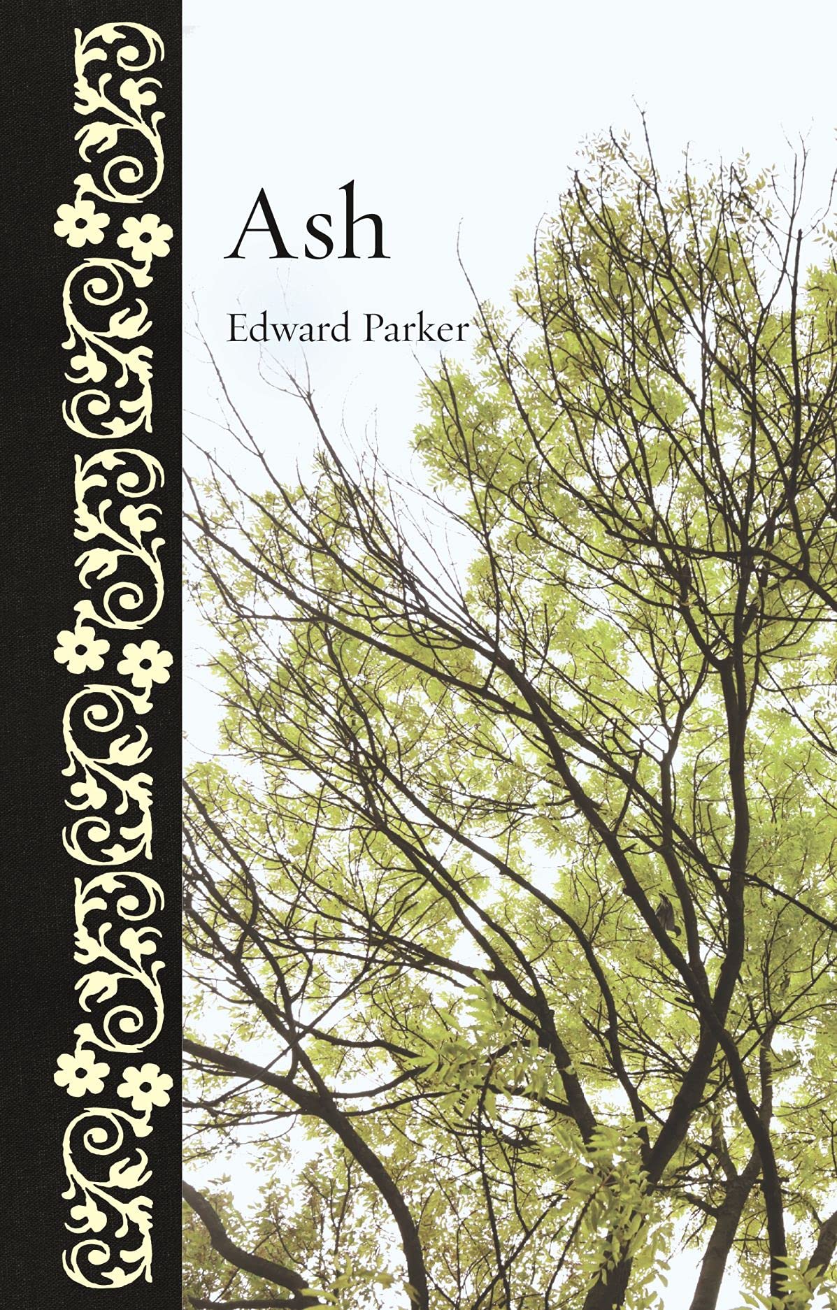 Ash by Edward Parker (Hardback Book)