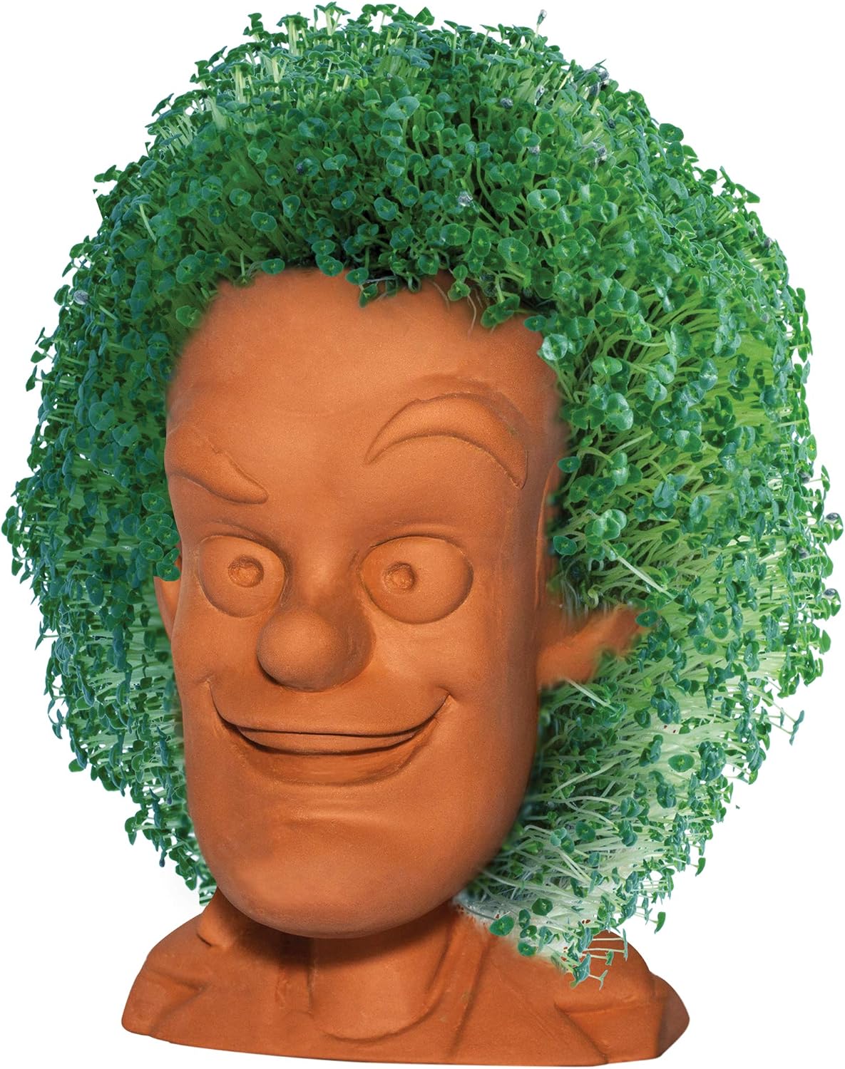 Chia Pet Back to The Future - Doc Brown with Seed Pack, Decorative Pottery Planter, Easy to Do and Fun to Grow, Novelty Gift, Perfect for Any Occasion