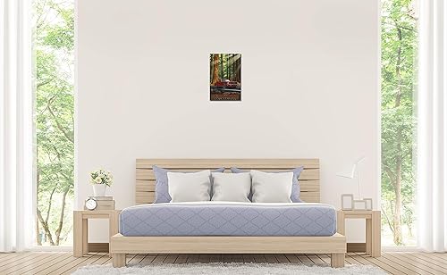 Miniatura 4 de California Redwoods Highway Mustang In Redwoods Giclee Archival Canvas Print Wall Art Décor for Home & Office from Travel Artwork by Artist Paul A.