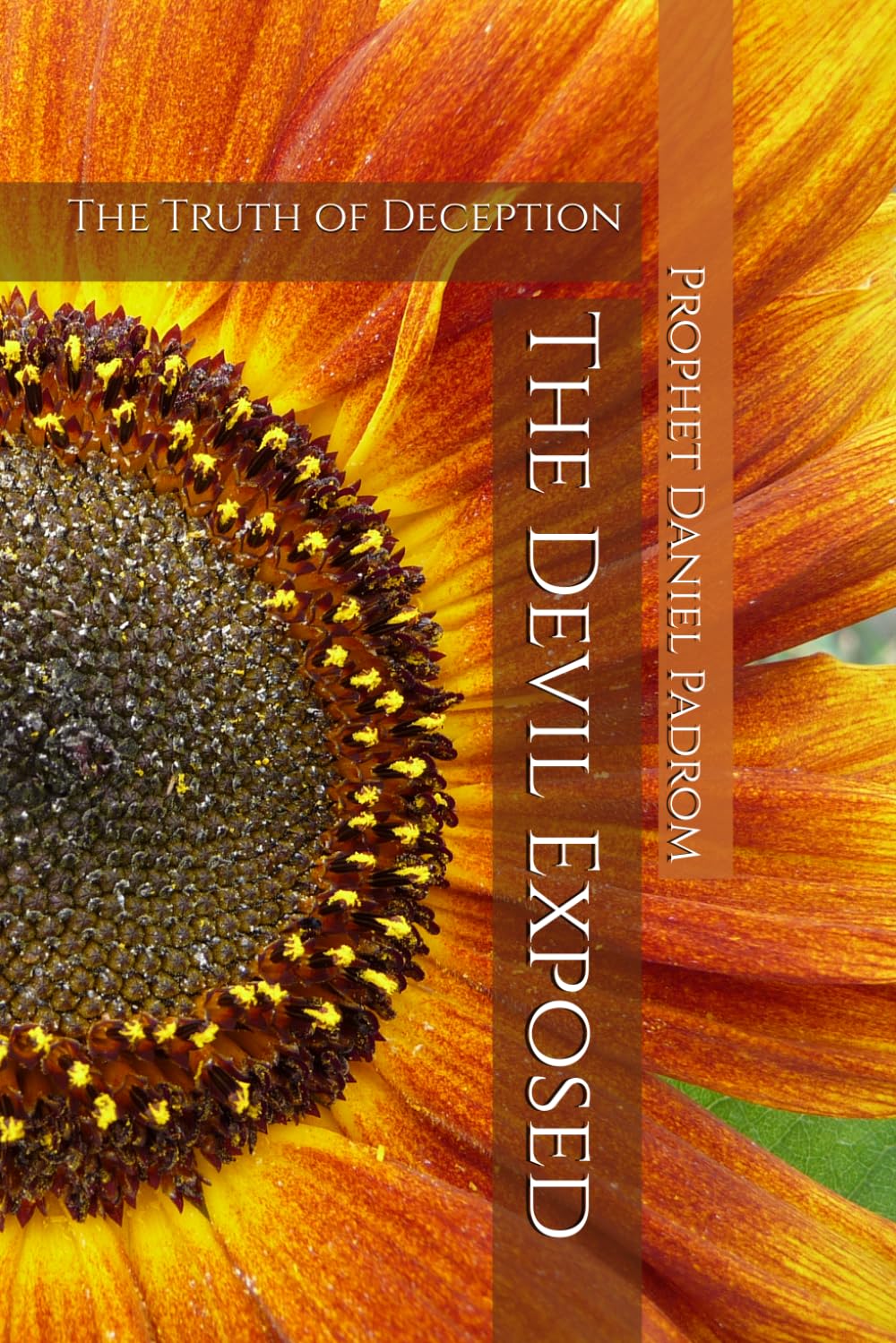 The Devil Exposed: The Truth of Deception