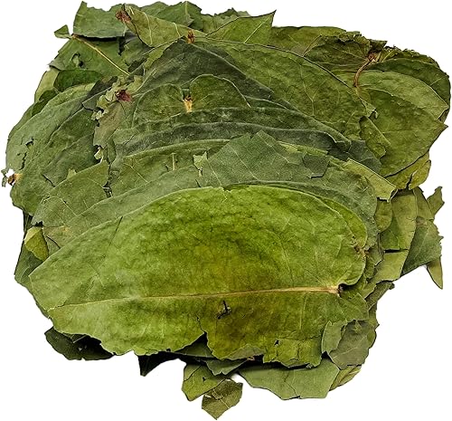 Miniatura 7 de Hojas secas de eucalipto Hojas de té Hojas de Eucalipto Secas Baño aromático fuerte vapor suelto (3.53 oz)