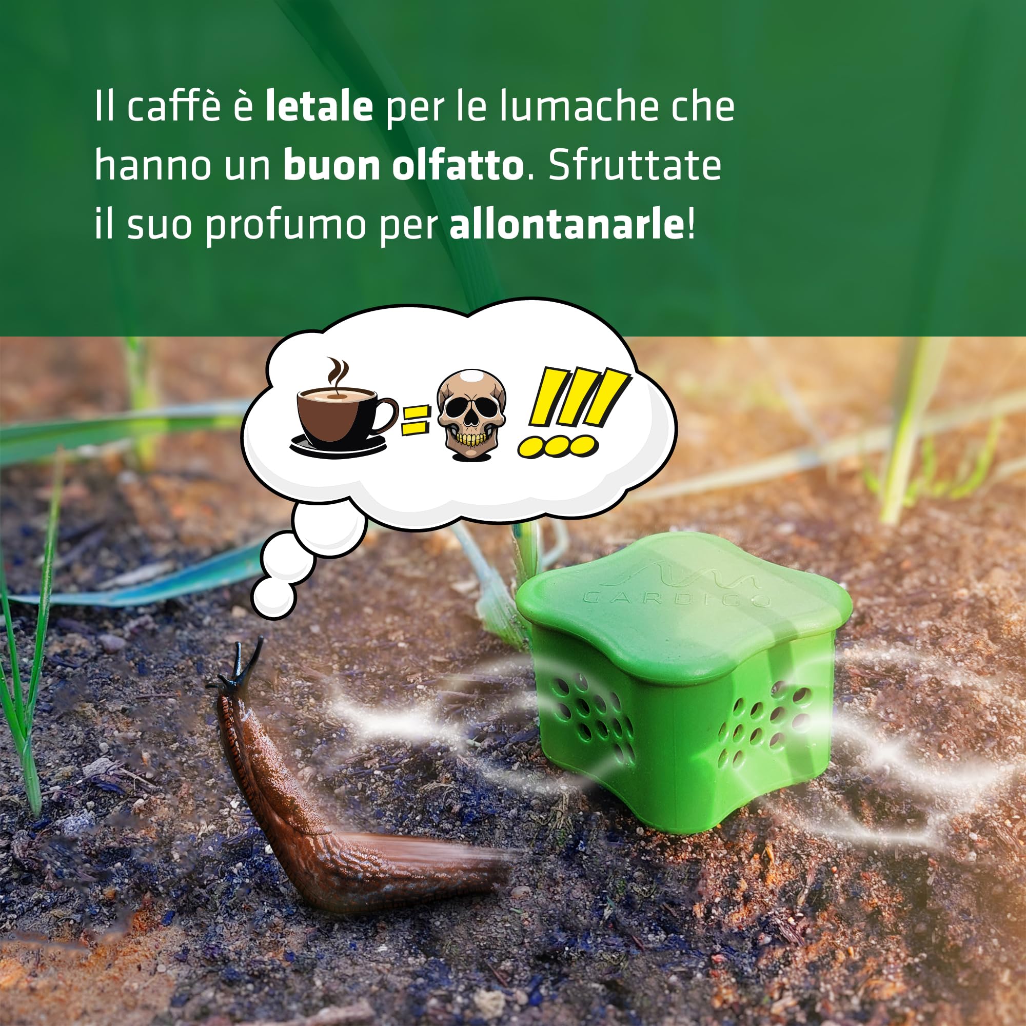 GARDIGO® Anti Lumache Biologico Orto con Aroma del Caffè 6 Pz. | Rimedi Naturali Antilumaca | Repellente Lumache e Chiocciole | Esca per Lumache | Lumachicida Bio per Lumache Vive