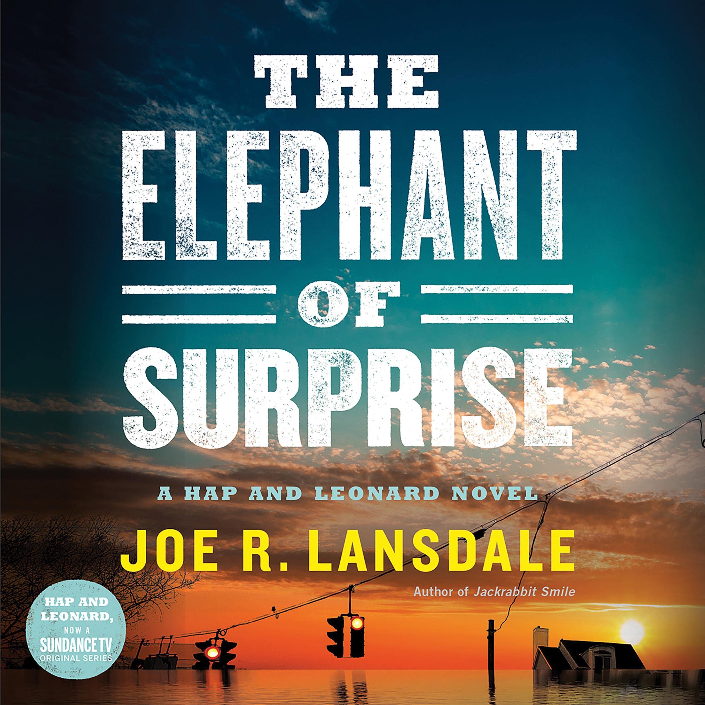 Cover art for The Elephant of Surprise