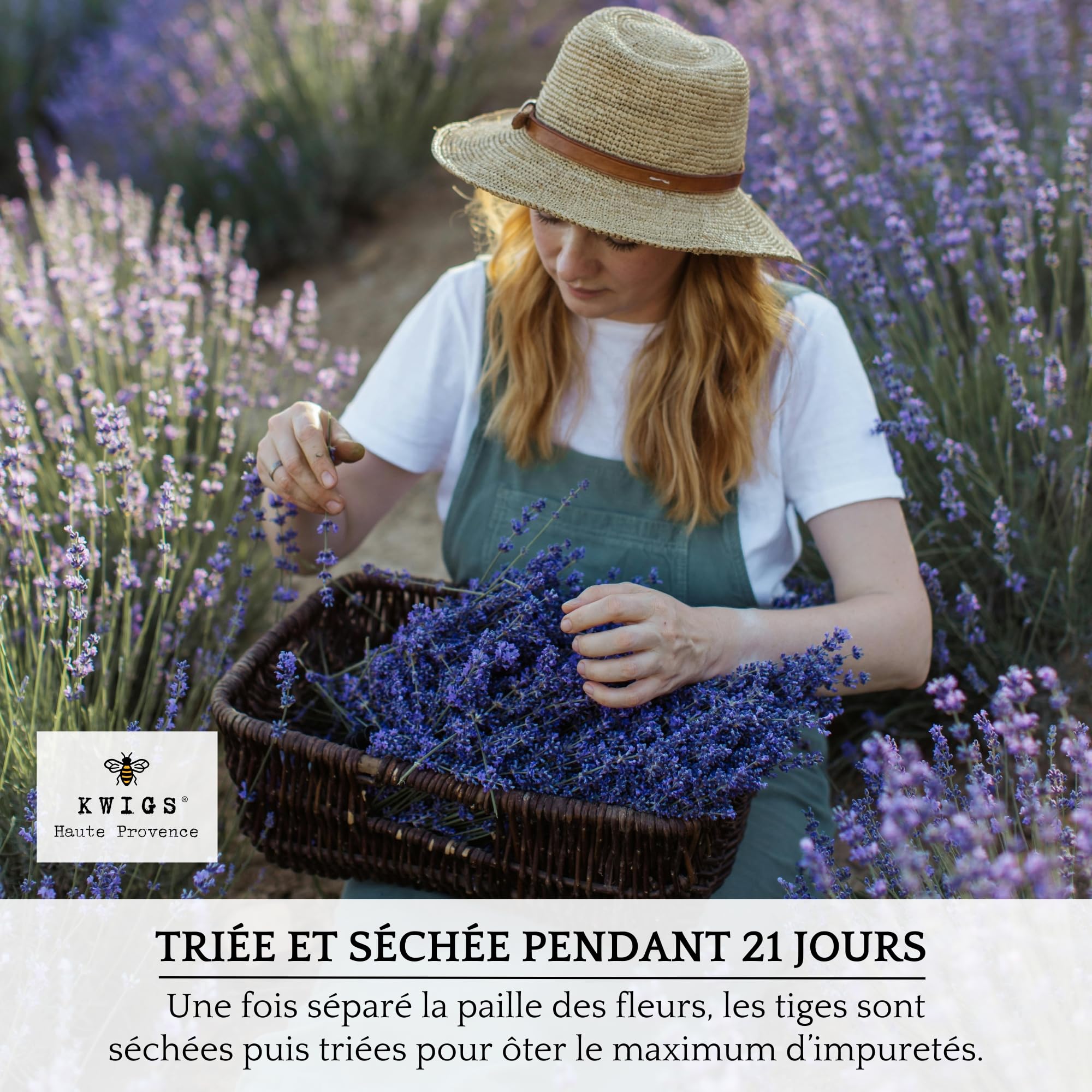 Sachet de Lavande Séchée Provence - 12 Sachets de Lavande sans OGM en Jute Doublée Remplis à la Main - Petit Sac de Lavandin pour Placards, Linge, Armoire - Fleurs de Haute Provence - Nouvelle Récolte