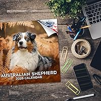 Vista 359 de Razas de Perros 2017