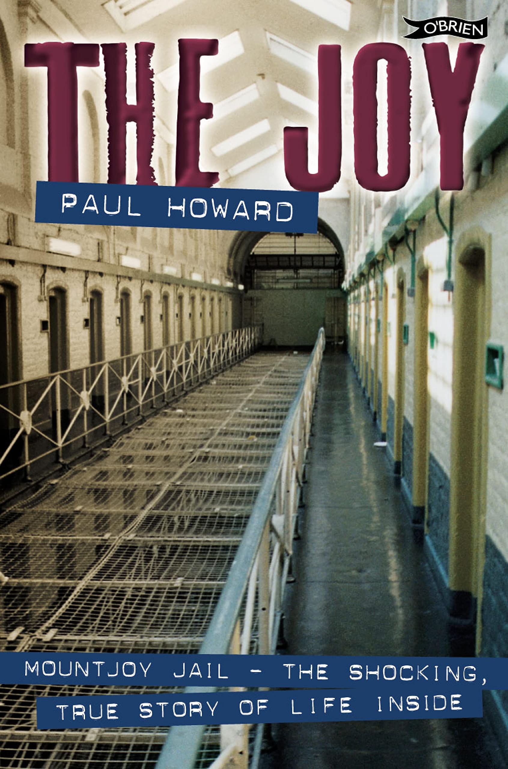The Joy: Mountjoy Jail. The shocking, true story of life inside
