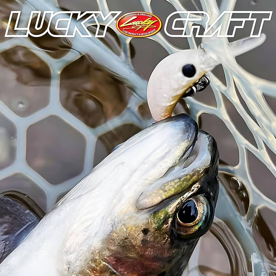 Amazon | ラッキークラフト(LUCKY CRAFT)アンフェア26F