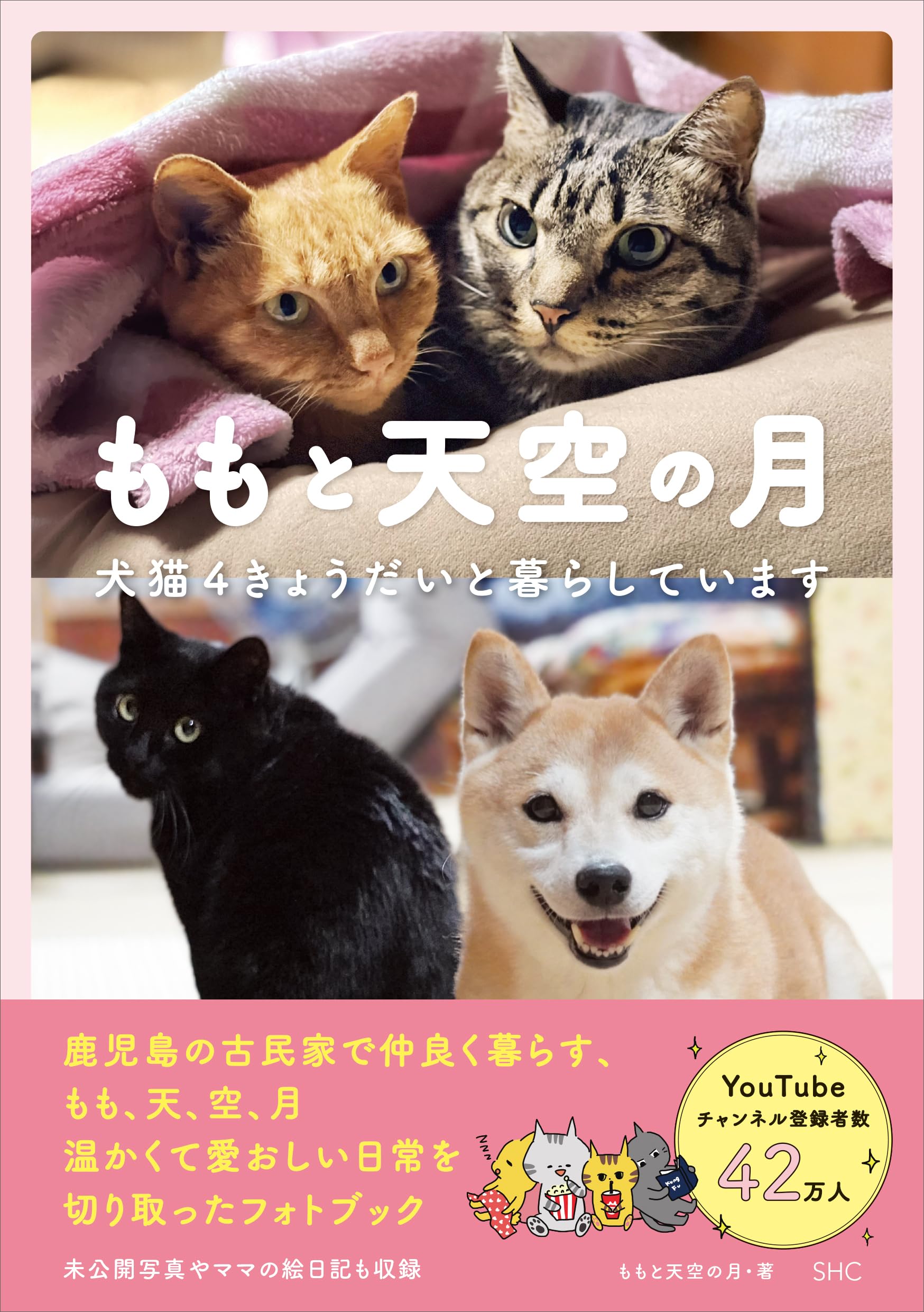 ももと天空の月 犬猫4きょうだいと暮らしています | ももと天空の月