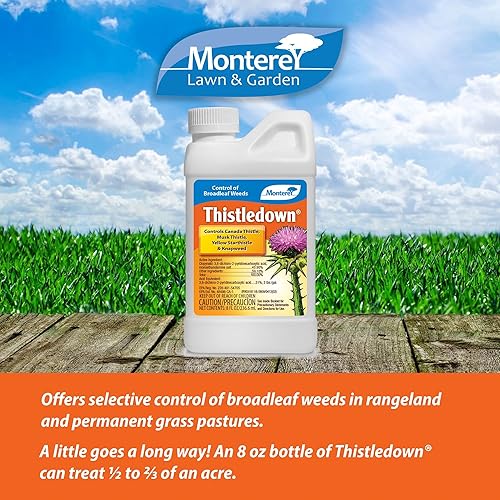 Miniatura 2 de Monterey LG5482 - Concentrado de control de cardo y trébol para herbicidas con cardo y trébol, 8 onzas