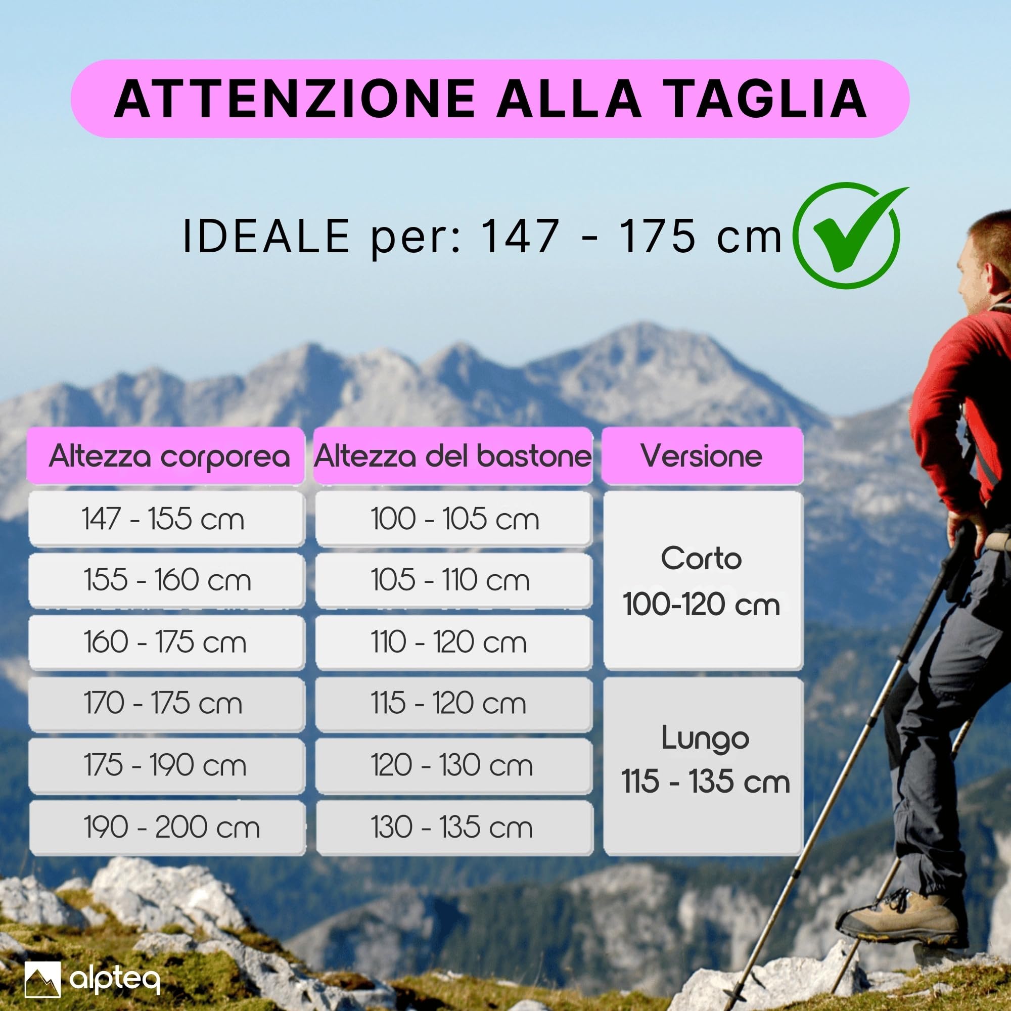Bastoni da trekking pieghevoli in carbonio con impugnatura in sughero | Bastoni da escursionismo per sport di montagna | Bastoni da nordic walking per donne e uomini | extra leggeri