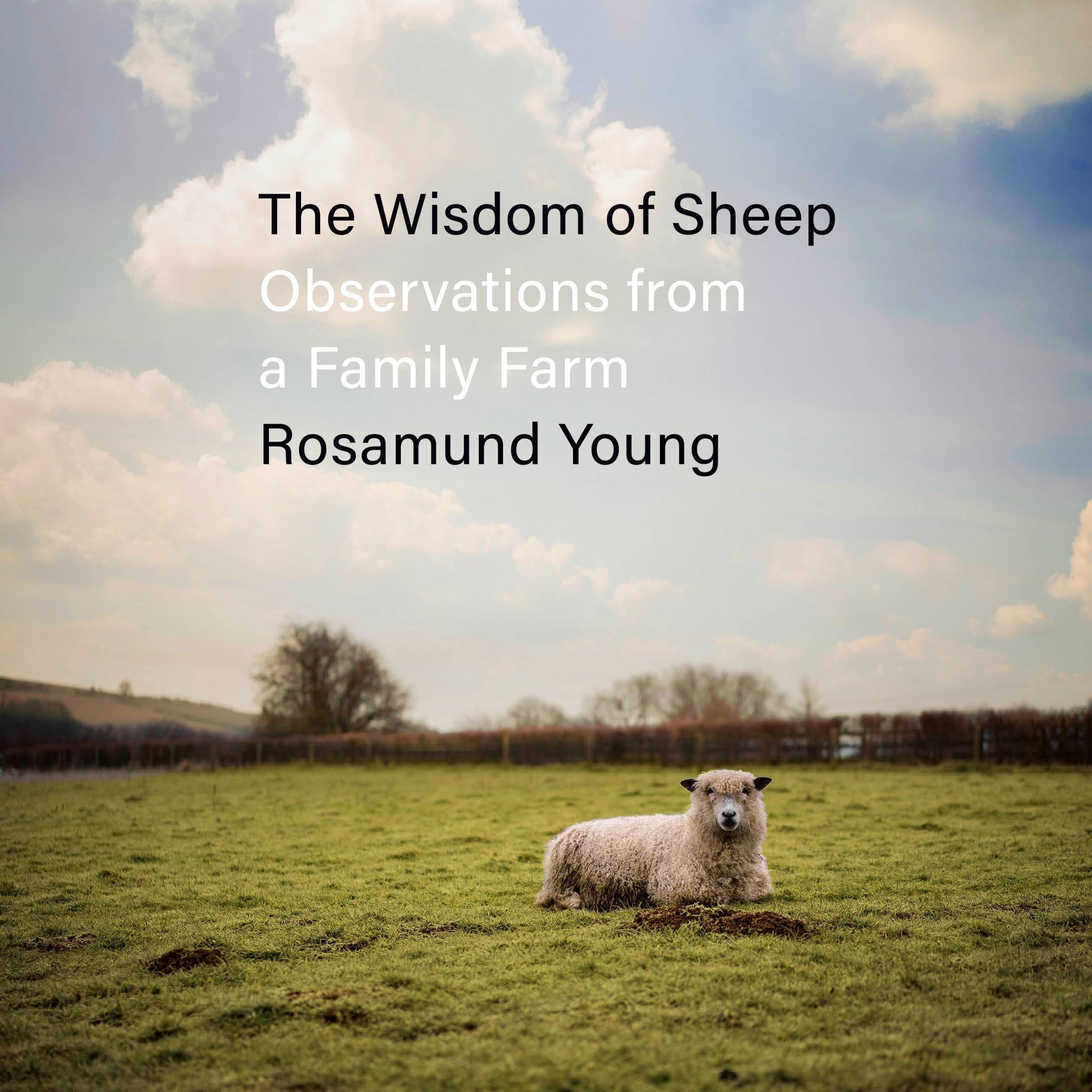 Cover art for The Wisdom of Sheep