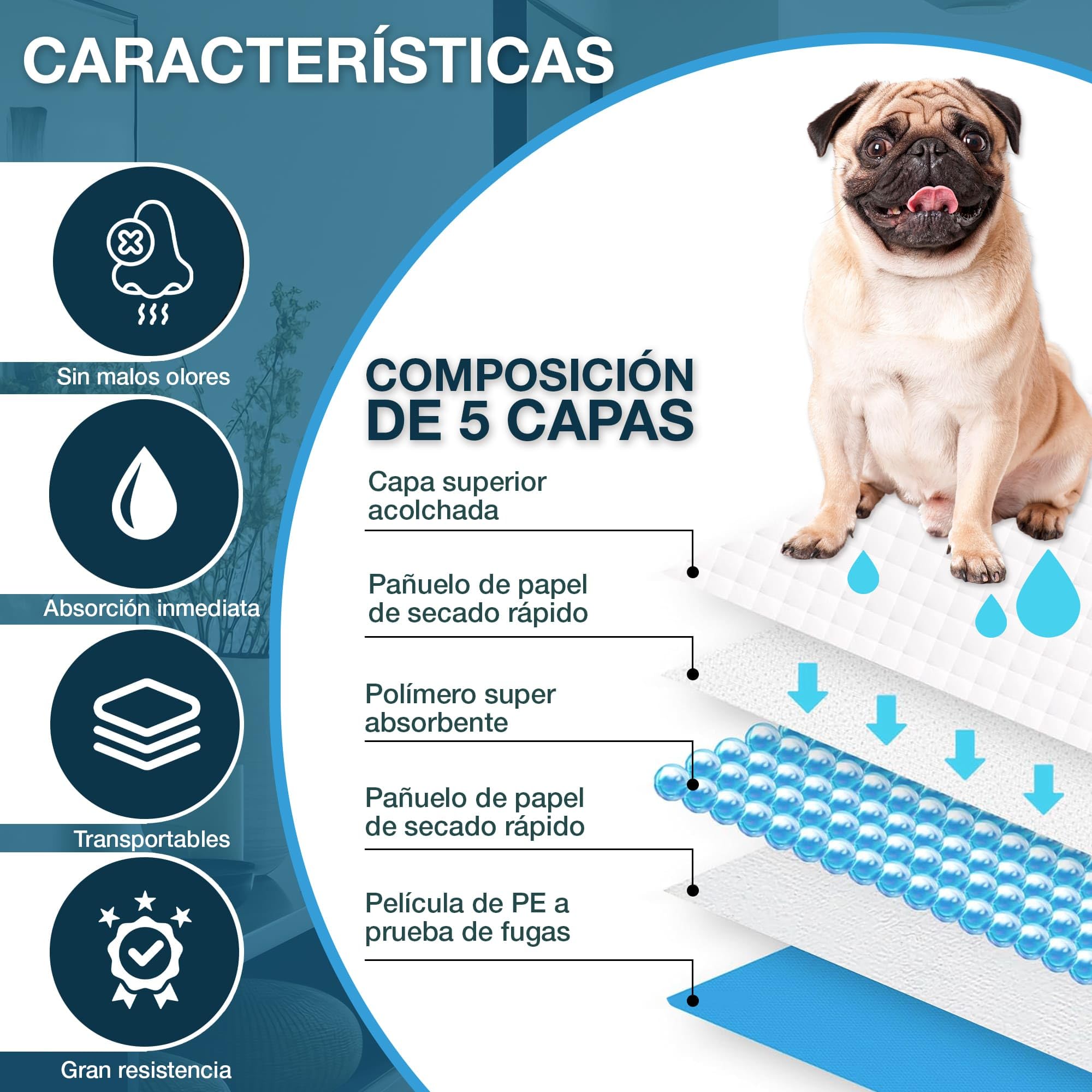 Empapadores Perros 60x60 cm CIVINZON 100 Unidades Ultra absobente de micciones, Alfombrillas Higienica Desechables para Mascotas, Resguardos para Cães, Resistente, Atrayente y a Prueba de Fugas