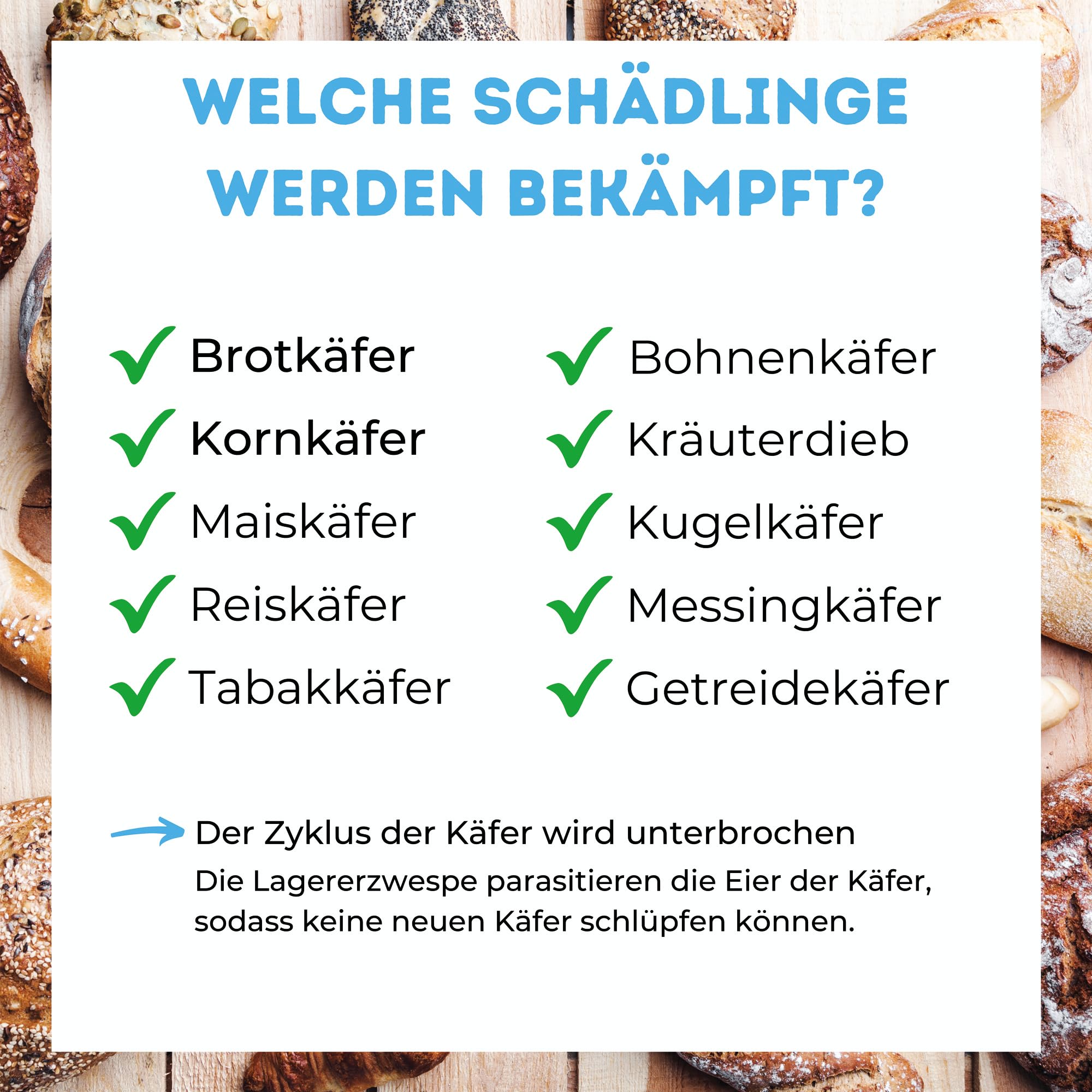 Lagererzwespen gegen Brotkäfer & Co. – für ca. 15 m² – 100% Chemiefrei – für warme und kühle Temperaturen – Alternative zu Brotkäferfalle – Made in Germany (40 Nützlinge)