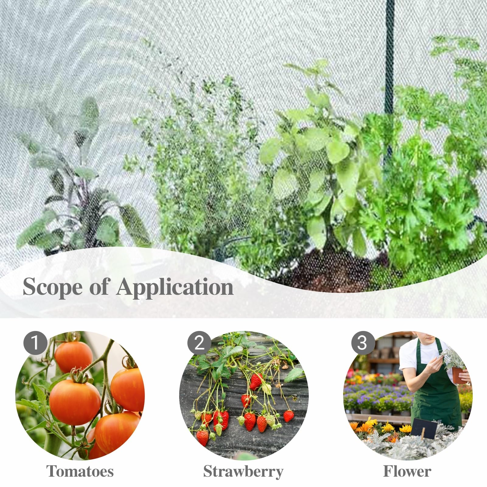 Rete Anti Insetti Gabbia per Orto con Rete da Giardino, Coperture per Piante in Rete per Frutta e Fiori All'aperto, Copertura per Aiuola con Telaio Antivento