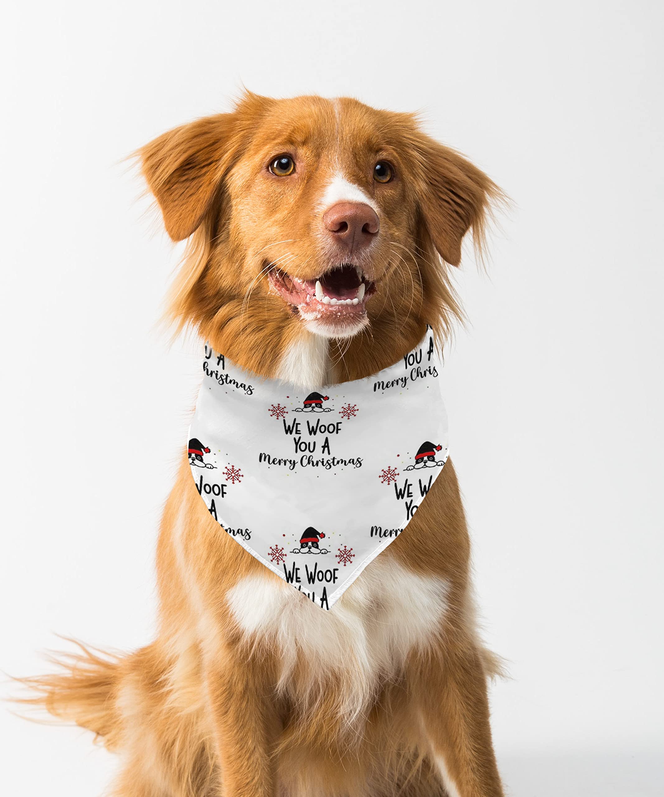 Farnup Adjustable & Comfortable Dog Bandana,We woof You a Merry Christmas, Graphic Printed Bandana for Dogs | Dog Scarf, Accessory | Gifts for Dogs-M/L (B0BVHFDM1F) Amazon Price History, Amazon Price Tracker