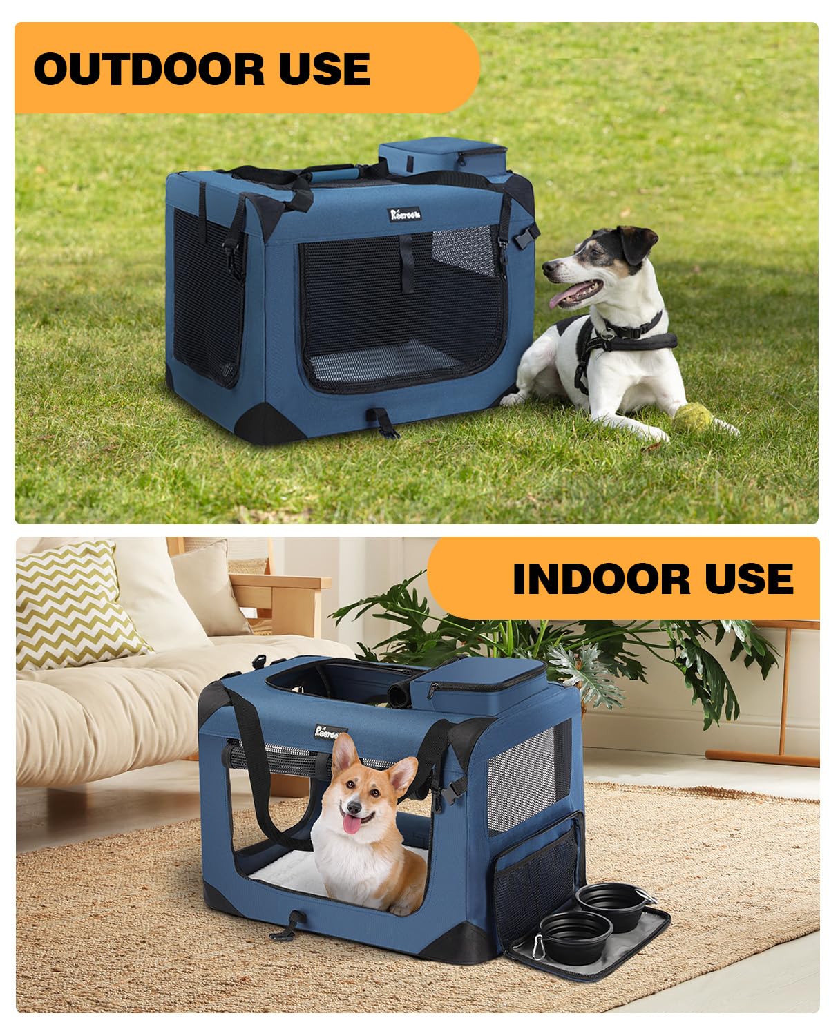 https://m.media-amazon.com/images/I/81LxwFAZarL.jpg