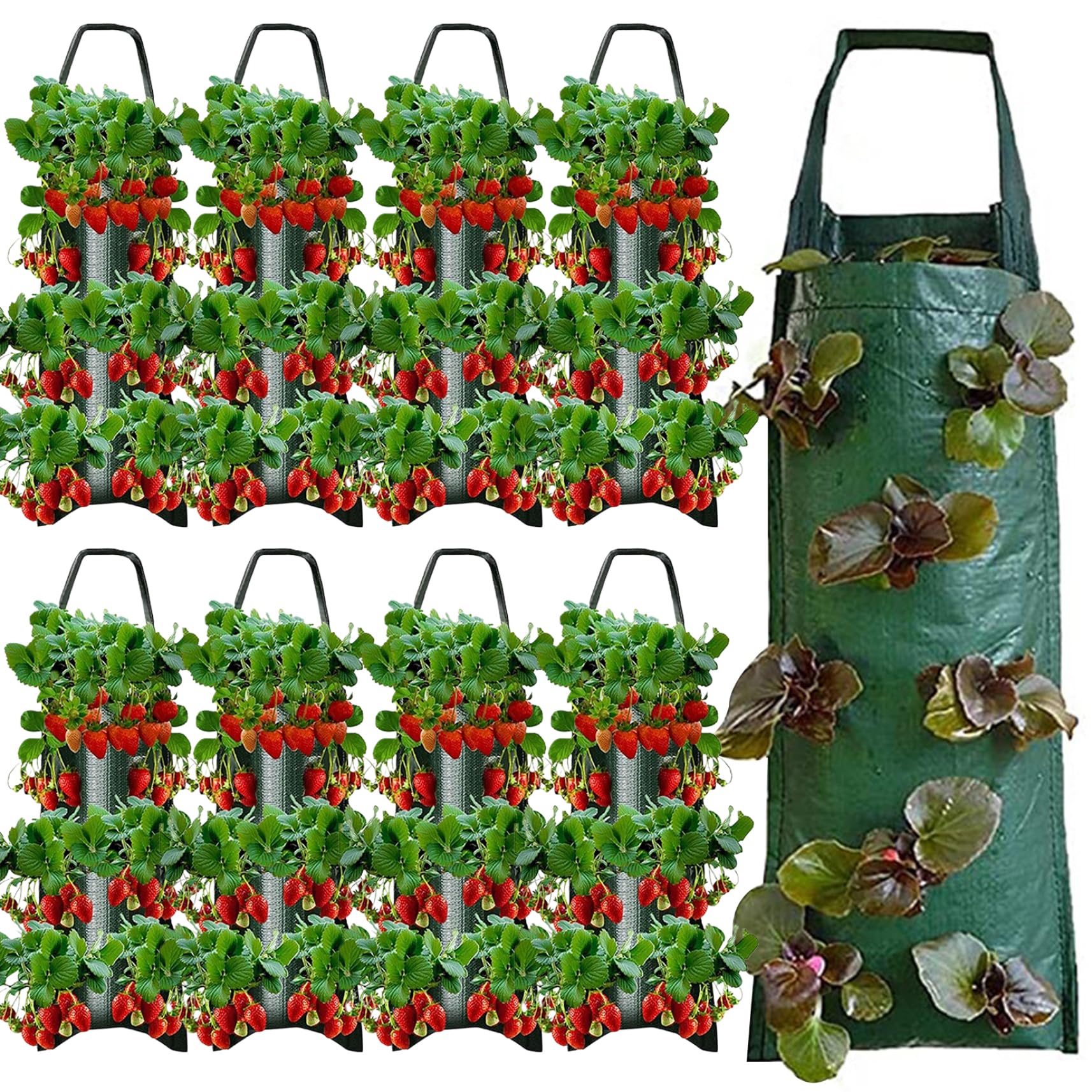 Bolsas de Cultivo para Huerto en Balcón y Plantación Vertical de Fresas en Casa