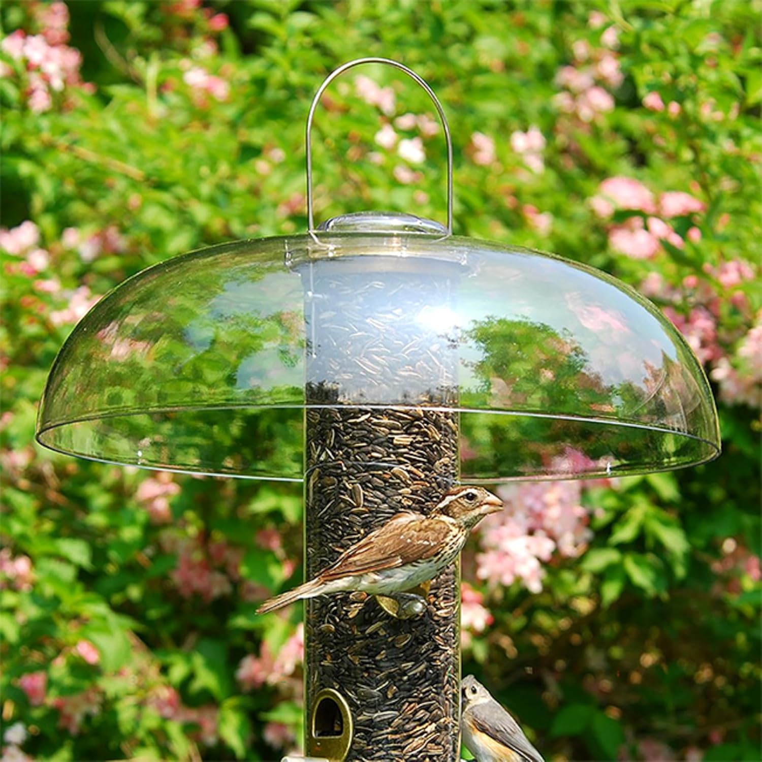 Aspects Super Tube Tops II Bird Feeder Domes – 2 Pack 18 Inch Clear Bird Feeder Rain Guards and Hanging Baffles for Aspects Feeders, Weather Protection Dome Covers