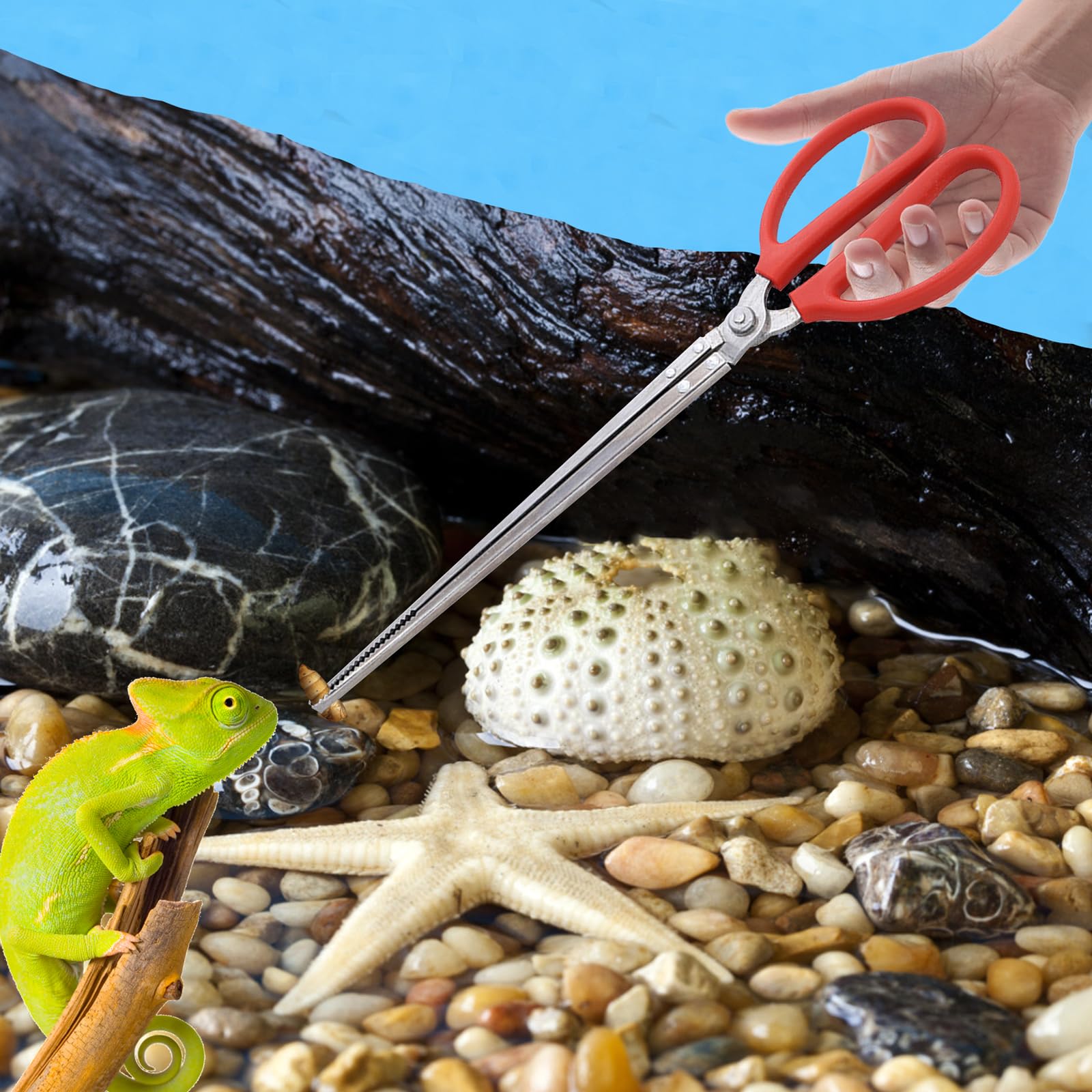 2 pièces Pince à Nourriture Reptile,38cm Extra Longues Pince À Nourriture Reptile,Pince Alimentation Reptile pour Serpents pour Serpent Tortue Lézard Grenouille Araignée