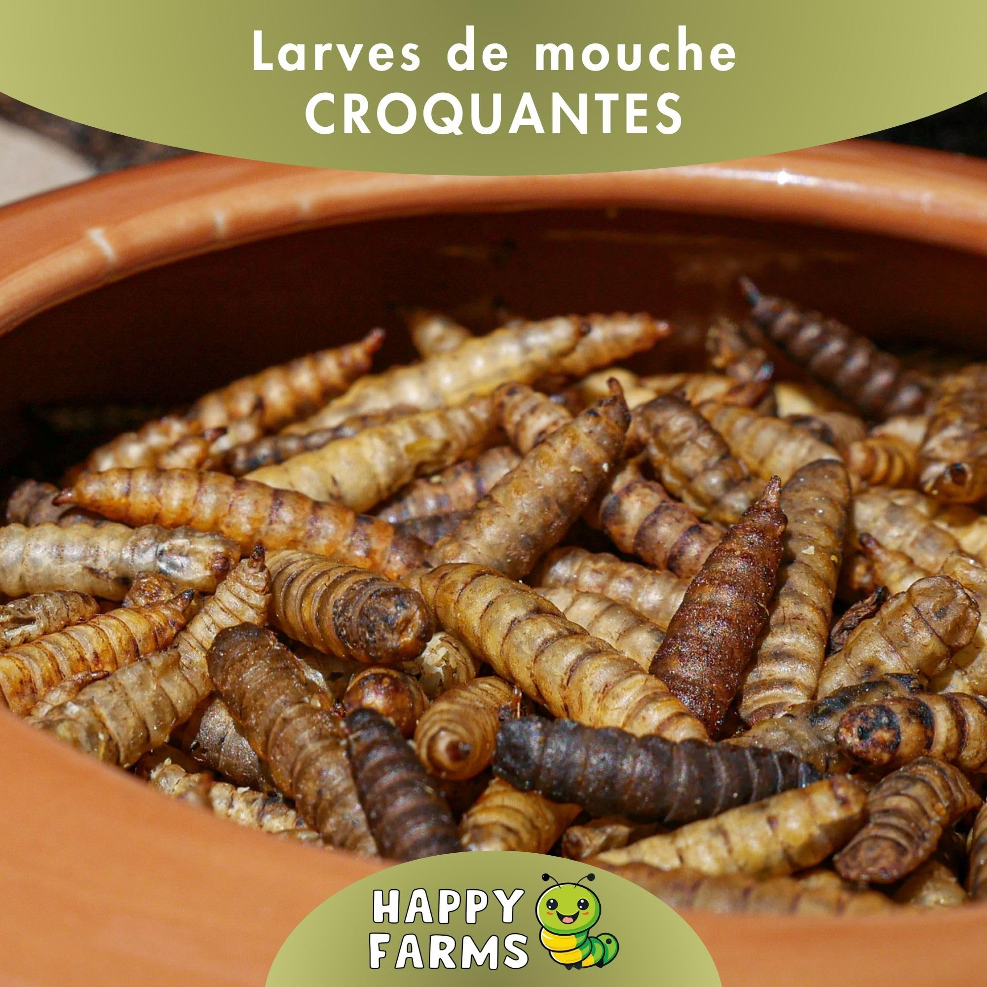 Larves de Mouches Soldats séchées 10 kg – Nourriture Naturelle Riche en protéines et Calcium pour Oiseaux Sauvages et hérissons – Alternative aux vers de Farine