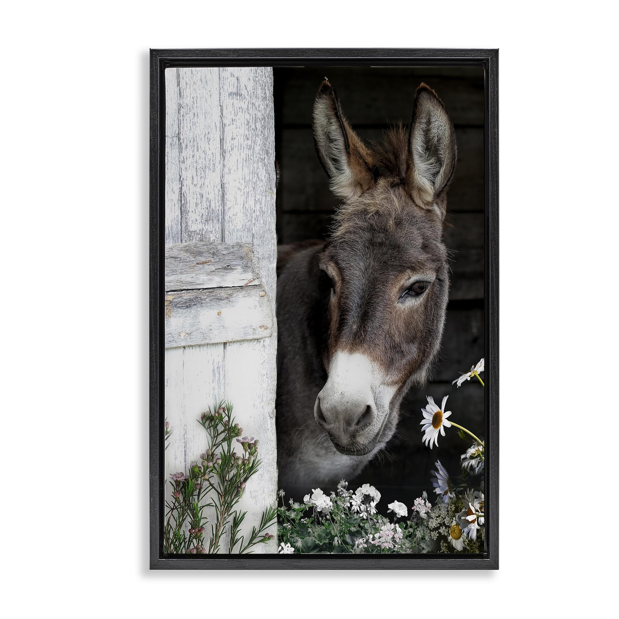 Stupell Industries Jet Black (Matte) Gentle Donkey Barn Peering Farmhouse, 16 X 24 Inch Canvas In Floater Frame