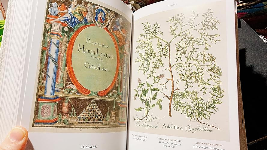 Buy Basilius Besler. Florilegium. The Book of Plants Book Online