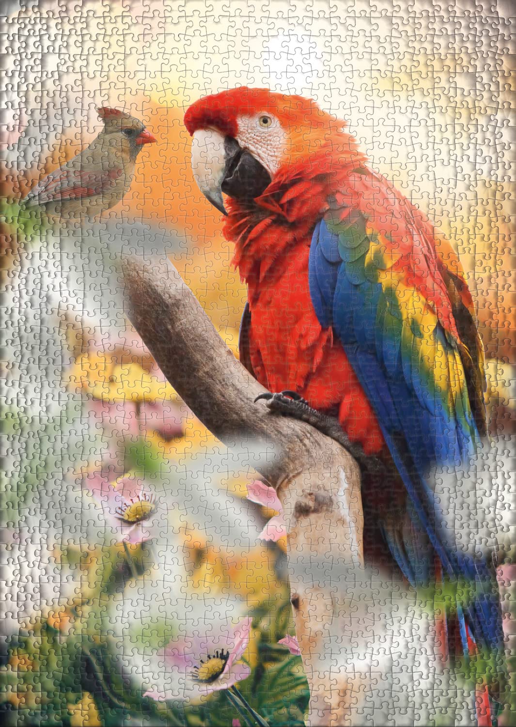 Puzzle Perroquet Puzzle Classique De 1000 Pièces Puzzle Animal Coloré Puzzle Perroquet Puzzle Classique De 1000 Pièces Puzzle Animal Coloré