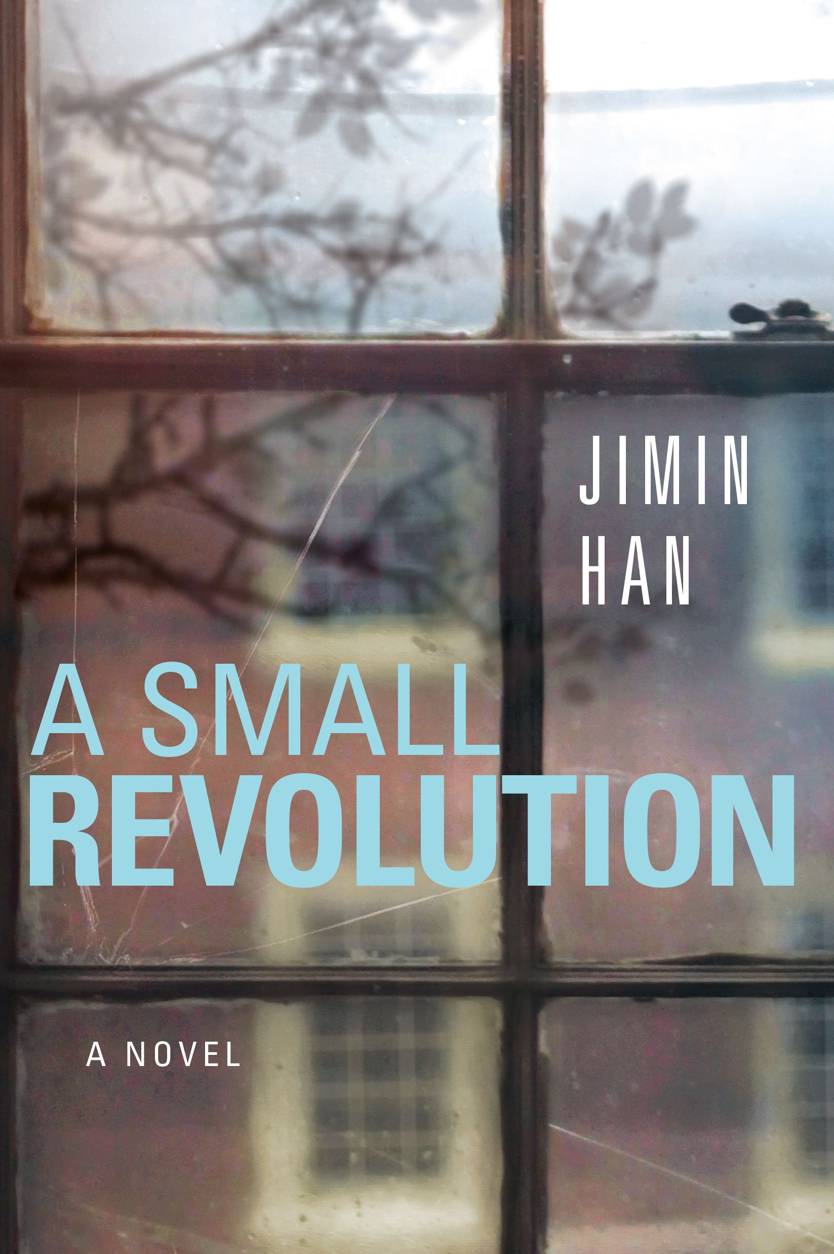 Buy A Small Revolution — BookShops.in