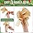 WILLBOND 20 Pieces 6 Inch Pull Bows Gift Wrapping Ribbon Pull Bows for Christmas Wedding Baskets Valentine Multicolor Wrap Accessory for Gift Present Holiday Decor(Assorted Color)
