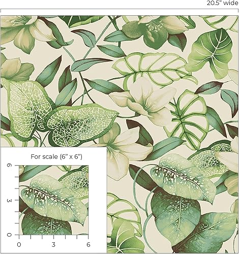 Miniatura 6 de Tommy Bahama Surface Style - Papel tapiz para despegar y pegar, papel tapiz floral para dormitorio, tocador, cocina, vinilo, cobertura de 30.75 pies