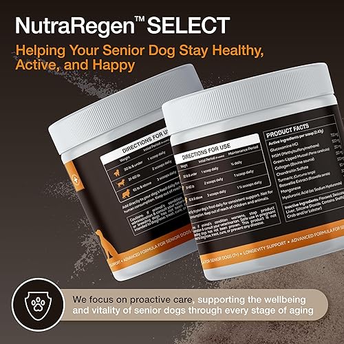 Miniatura 4 de Polvo para articulaciones selecto para perros mayores  Apoya la movilidad, flexibilidad y comodidad  Glucosamina, condroitina, colágeno, mejillón de