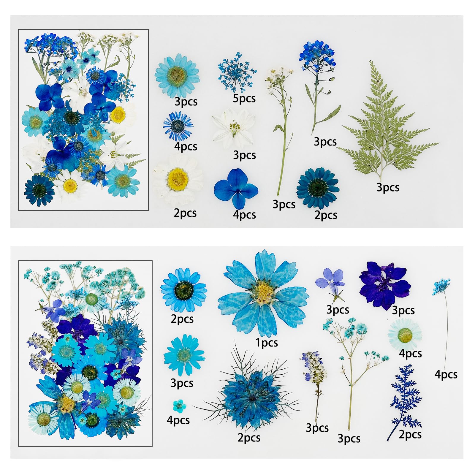 Cayway 170 PCS Dried Pressed Flower, Pressed Flowers and Leaves for Resin, Real Nature Pressing Floral Leaves for DIY Craft, Jewelry Making, Candle Scrapbooking Supplies, Blue - Image 3