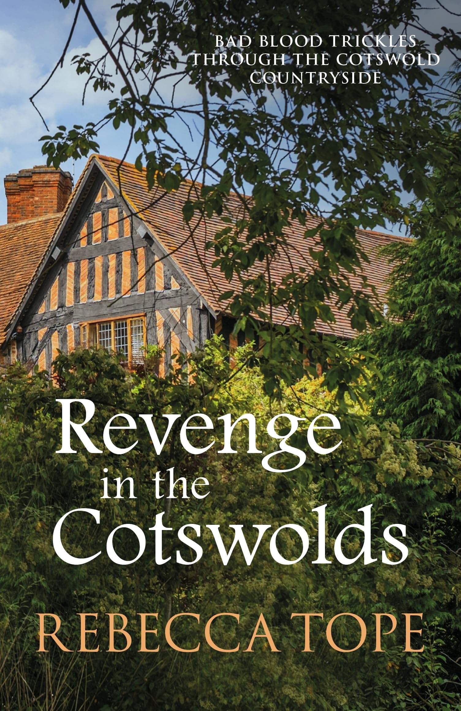 Revenge in the Cotswolds by Rebecca Tope PAPERBACK 9780749024376
