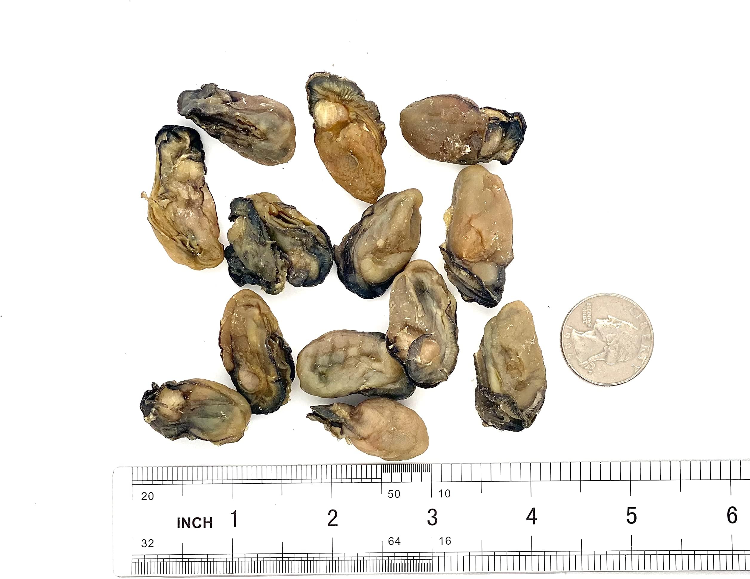 Dried Oysters 100% Natural Dried Seafood Hao Shi Hai Li 蠔豉 蚝豉 生蚝 (S 2lbs)