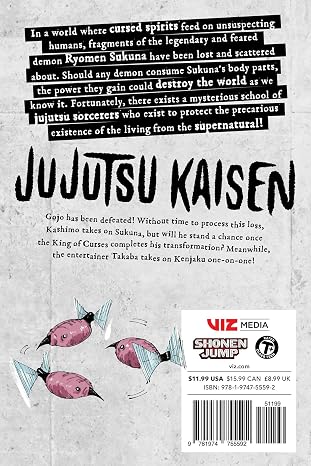 Jujutsu Kaisen, Vol. 27